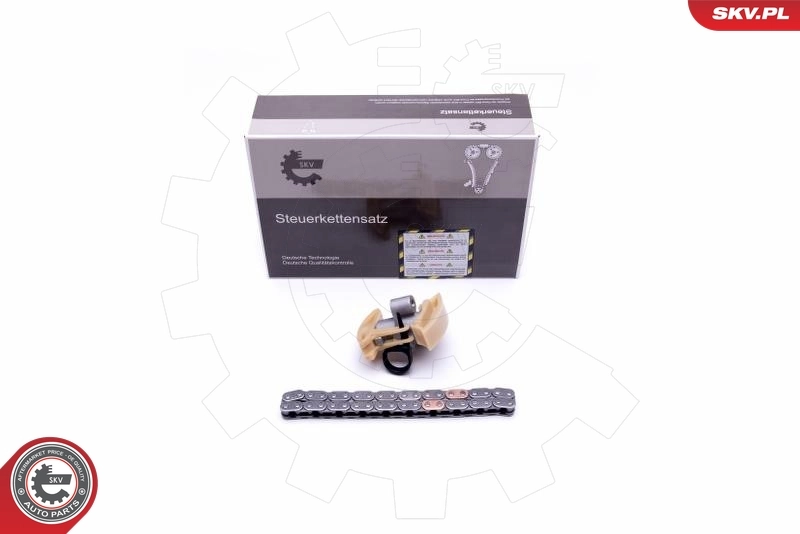 Timing Chain Kit